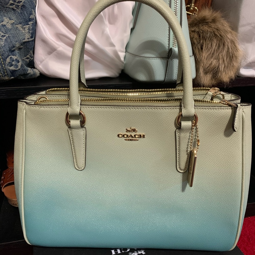 Coach ombré surrey carryall
